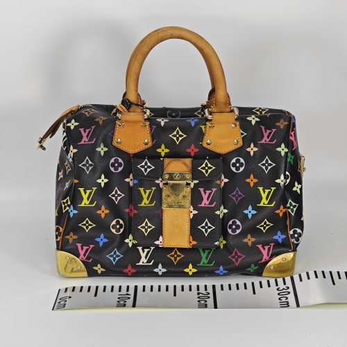 LOUIS VUITTON 内部褪色和污渍（S)